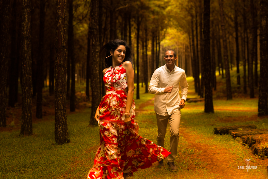 Fotógrafo Casamento Blumenau Ensaio