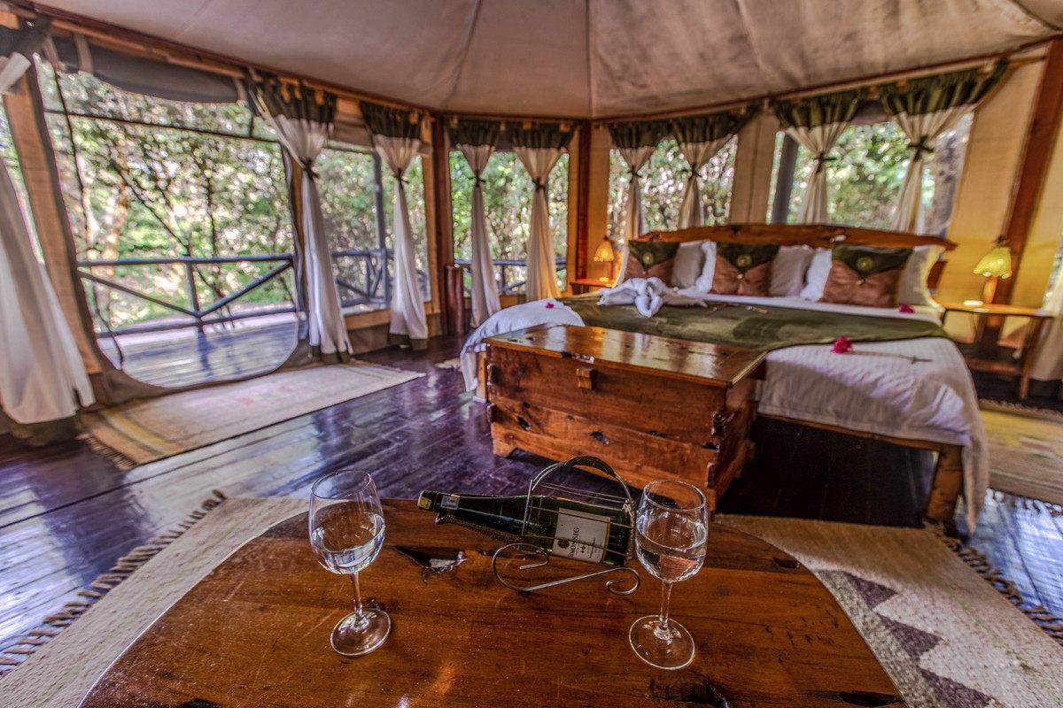 Fotos hotéis de Luxo 