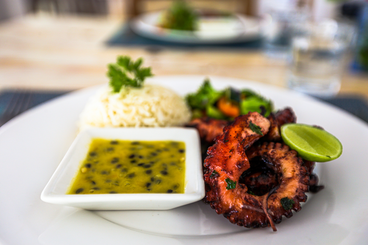 Fotos de Hotéis na praia  em Zanzibar  almoço com Lula 