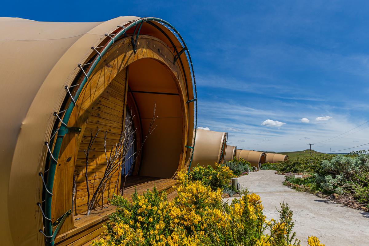 Casulo e as flores da região de cima da serra  no Parador Cambará do Sul 