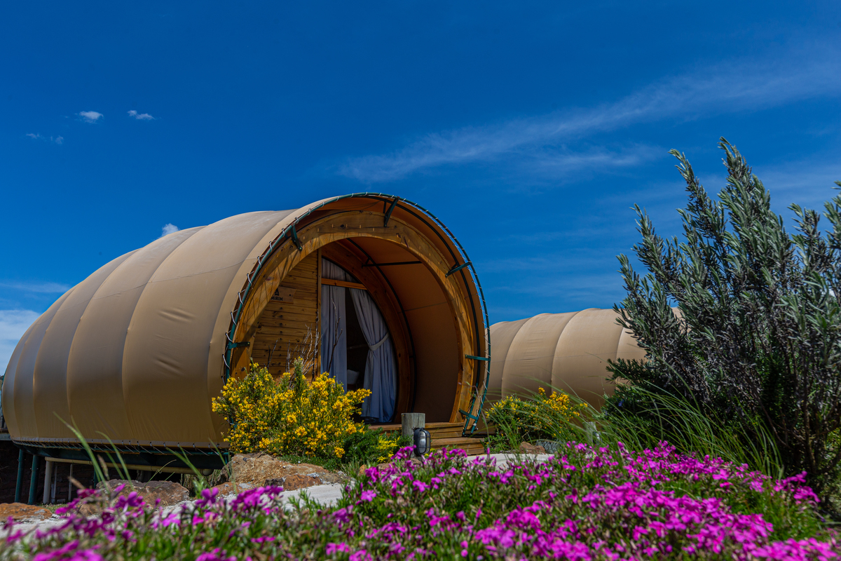Flores da campanha gaúcha  no Parador Cambará do Sul 