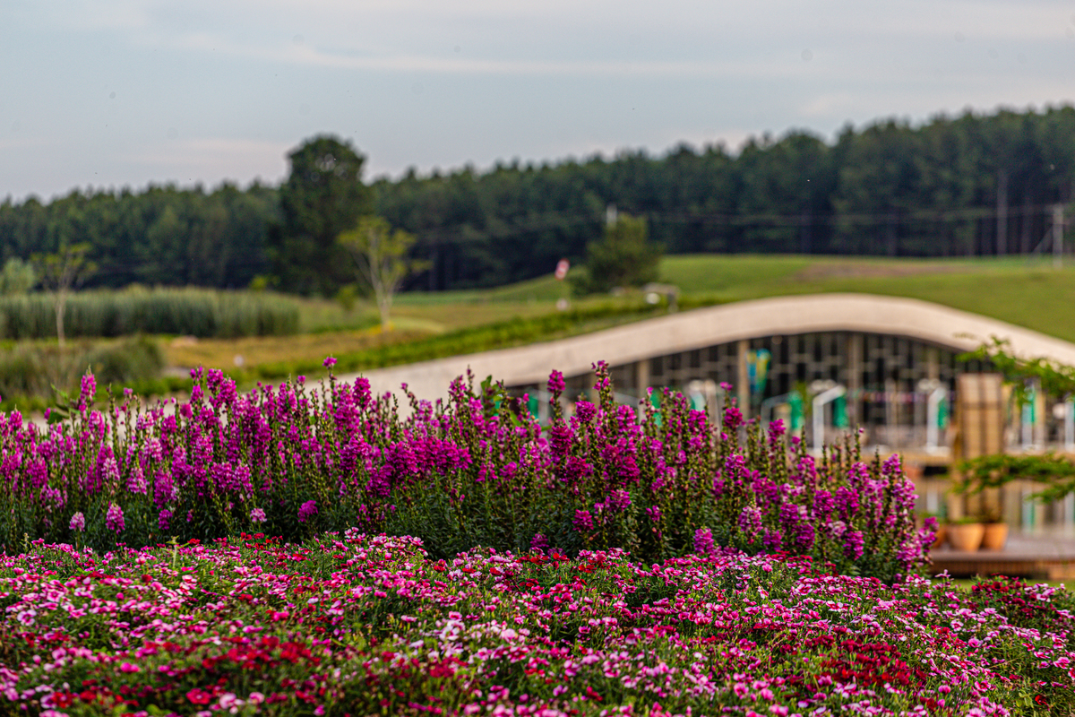 O Mátria Restobar é um prédio instalado à beira do Lago Azul, que se encaixa perfeitamente em uma coxilha do ambiente natural do parque. 
