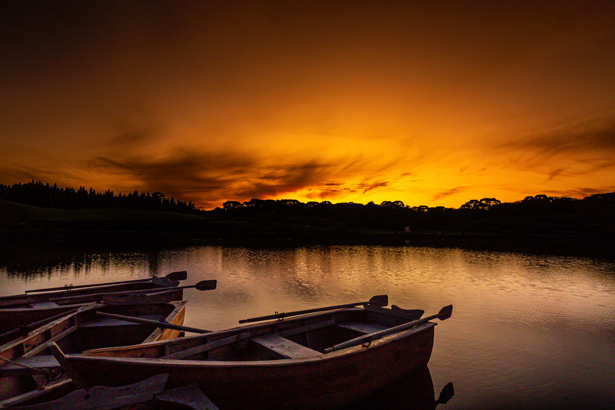 Um quadro no Mátria parque de Flores