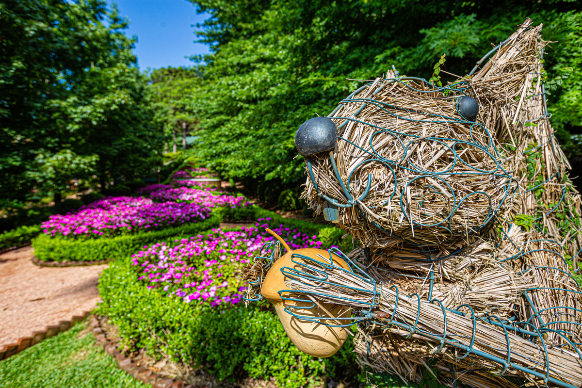Garden Park em Gramado. Um parque de muitas flores. 