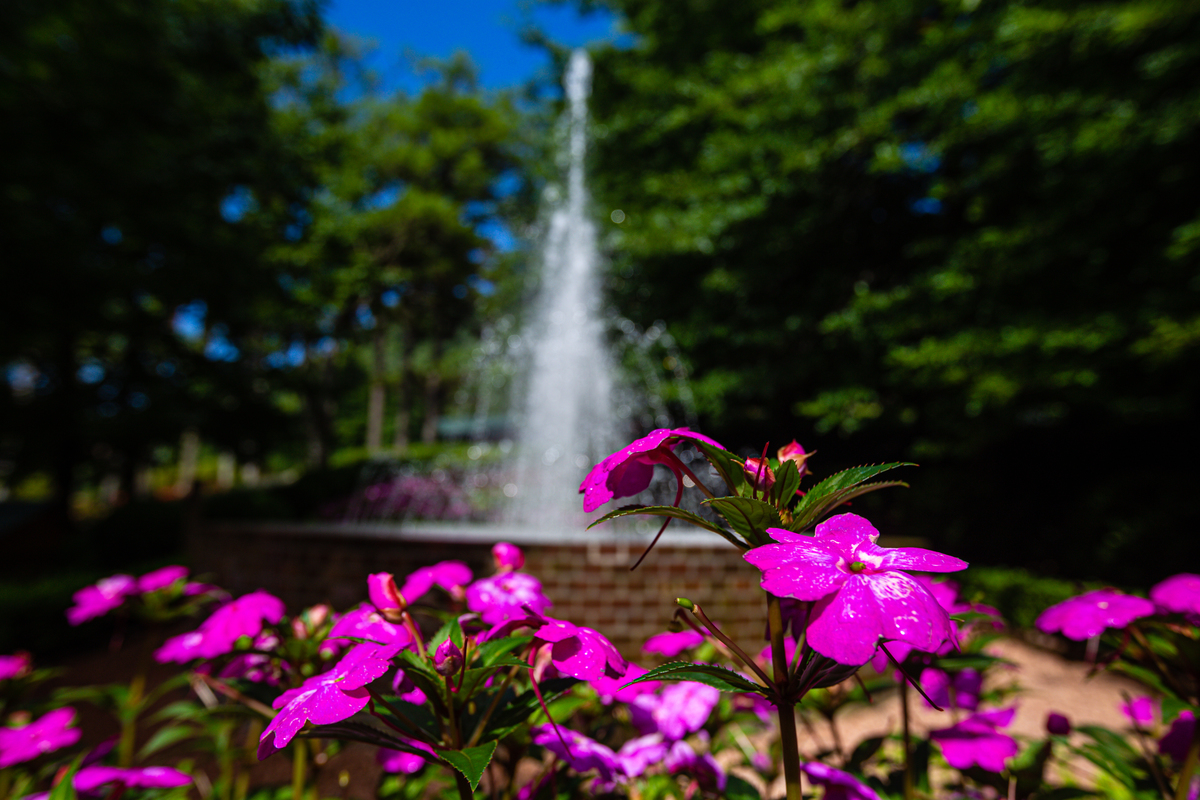 Flores e o Chafariz no Garden Park em Gramado 