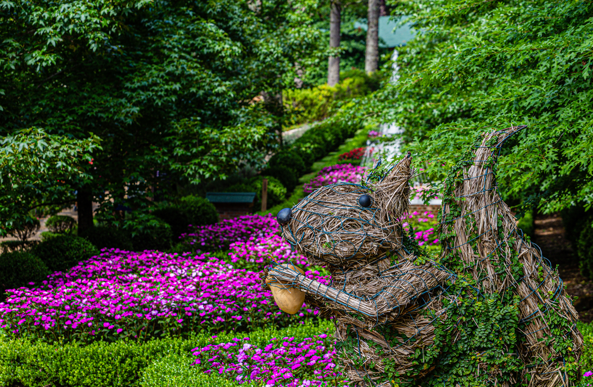 Garden Park em Gramado. Verão. 
