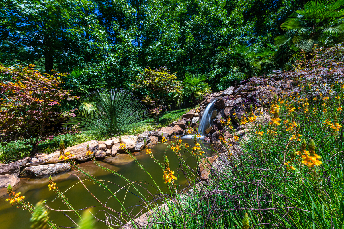 Flores e paz Garden Park em Gramado 
