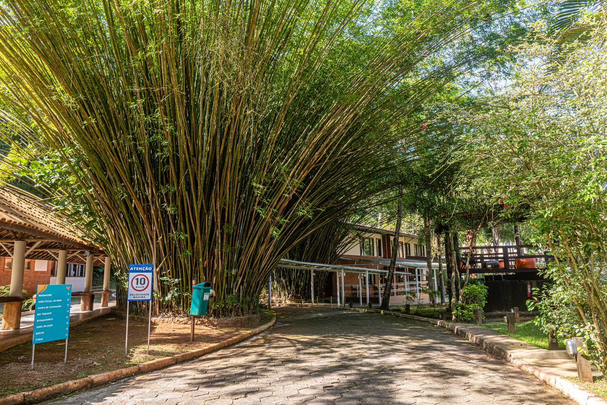 Fotos externas para Hotéis. 