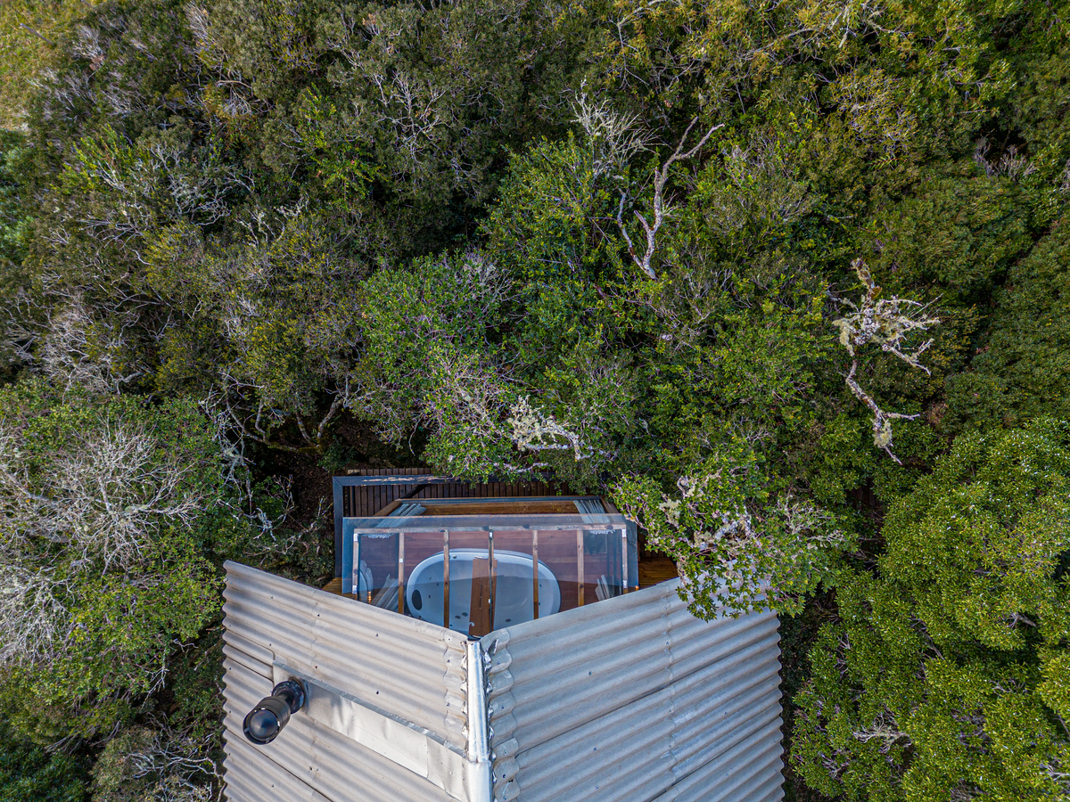 Banheira na floresta. 