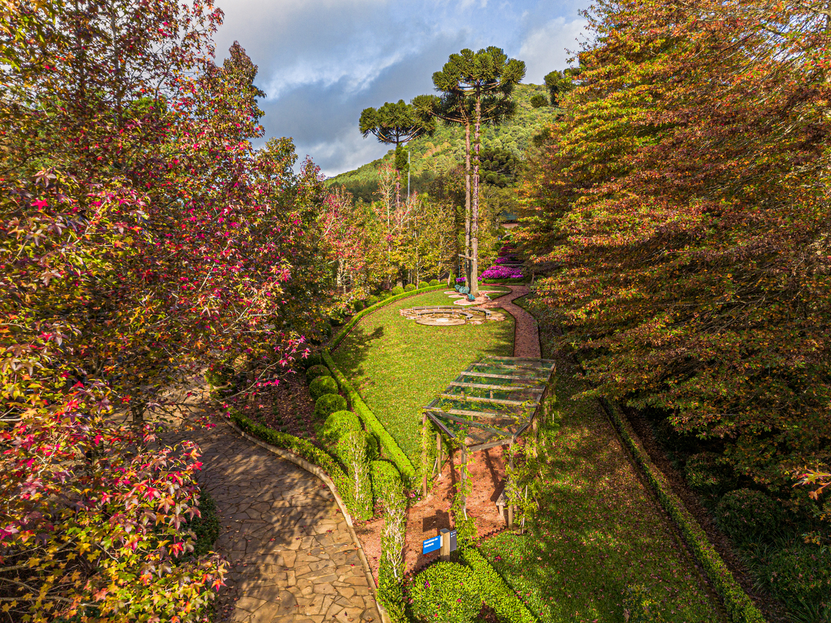 Garden park no outono 