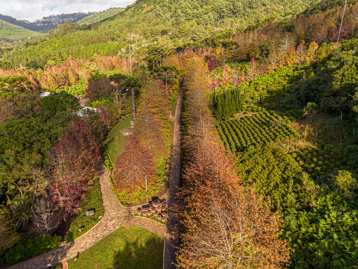 Cores de outono nas Serras gaúchas 
