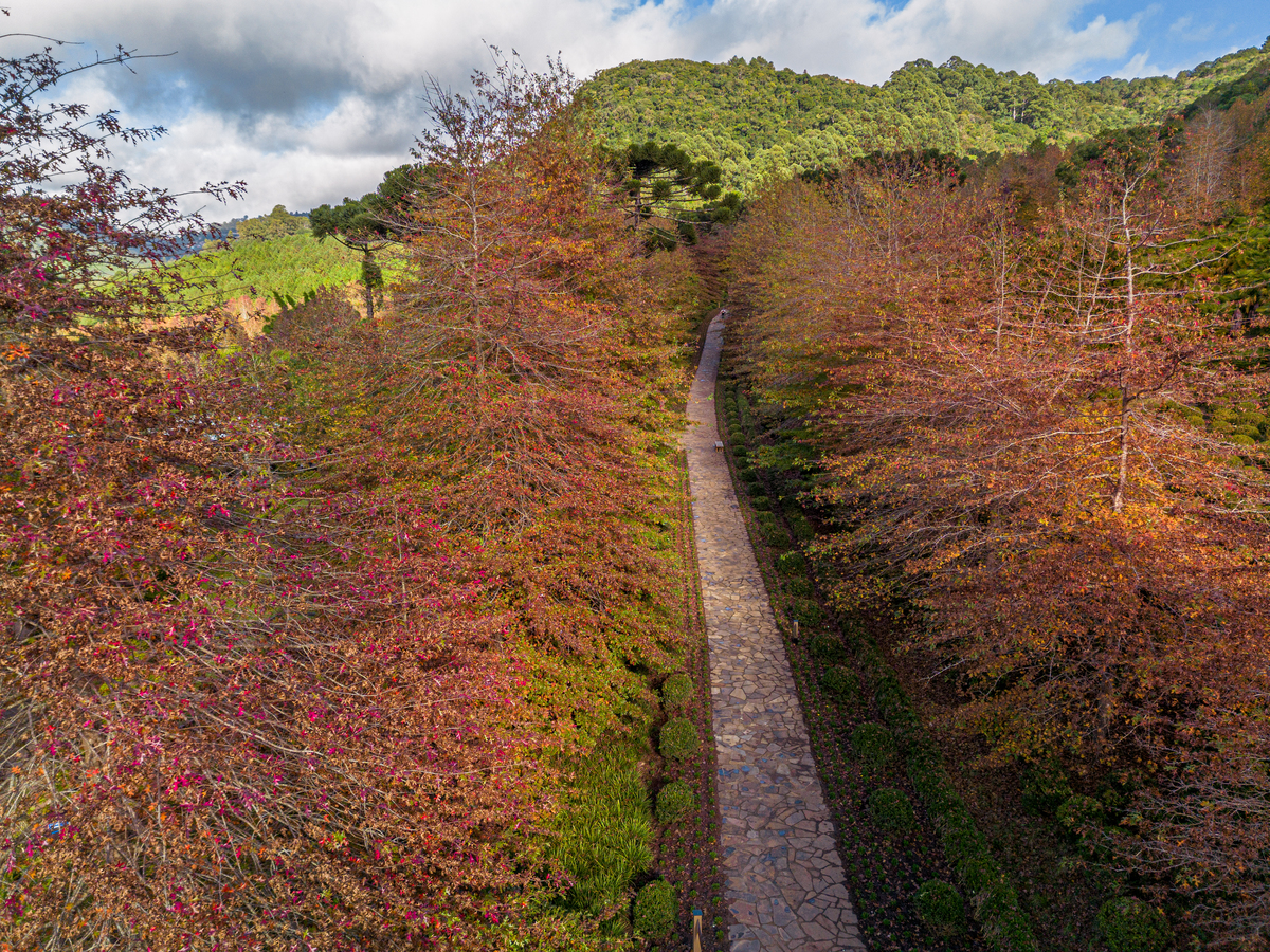 Cores de outono no maravilhoso Garden Park em Gramado 