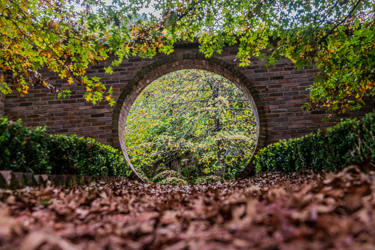 A beleza do outono em Gramado 