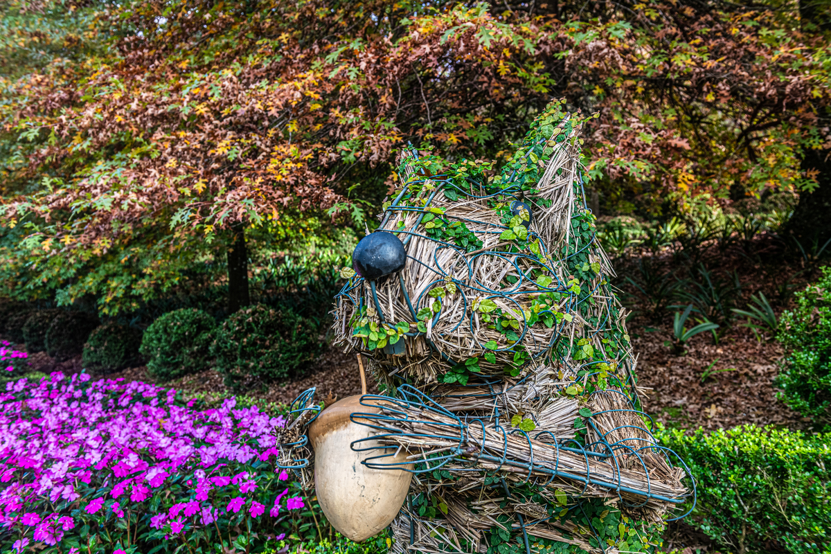 Cores de outono no garden park Gramado 