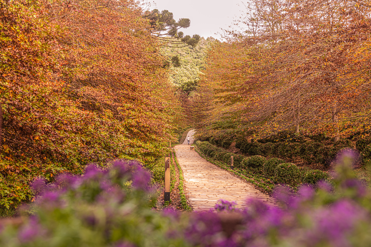 Outono a estação mais bonita em Gramado 