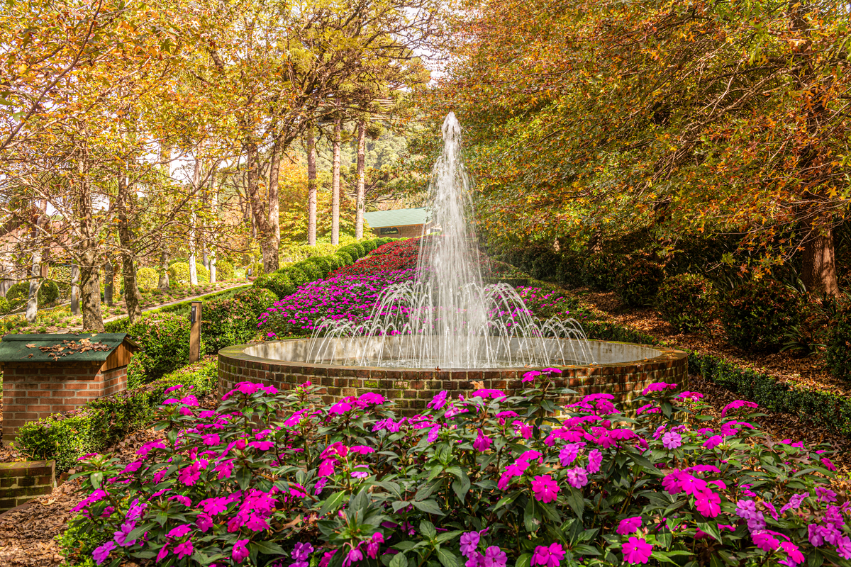 cores de outono na fonte em Gramado 
