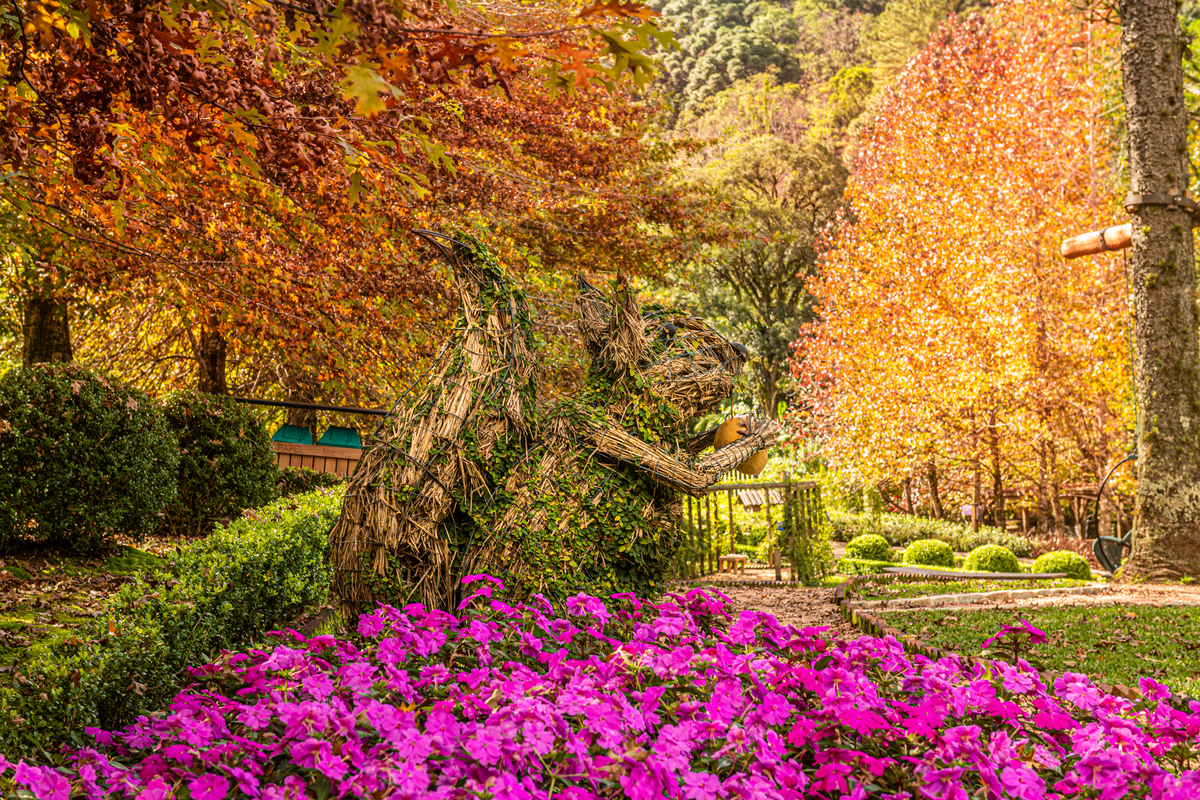 O lugar mais lindo de Gramado 