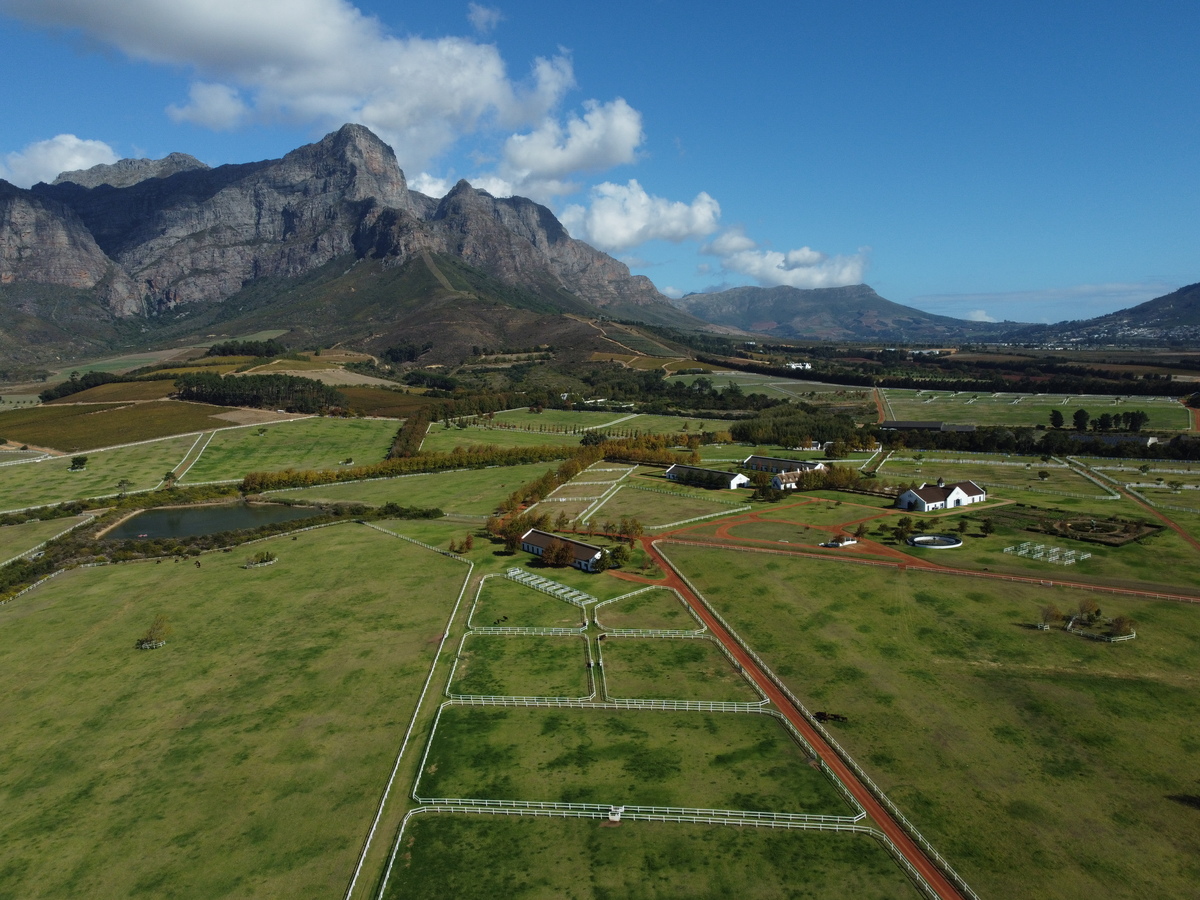 Incríveis vinícolas de Stellenbosch: