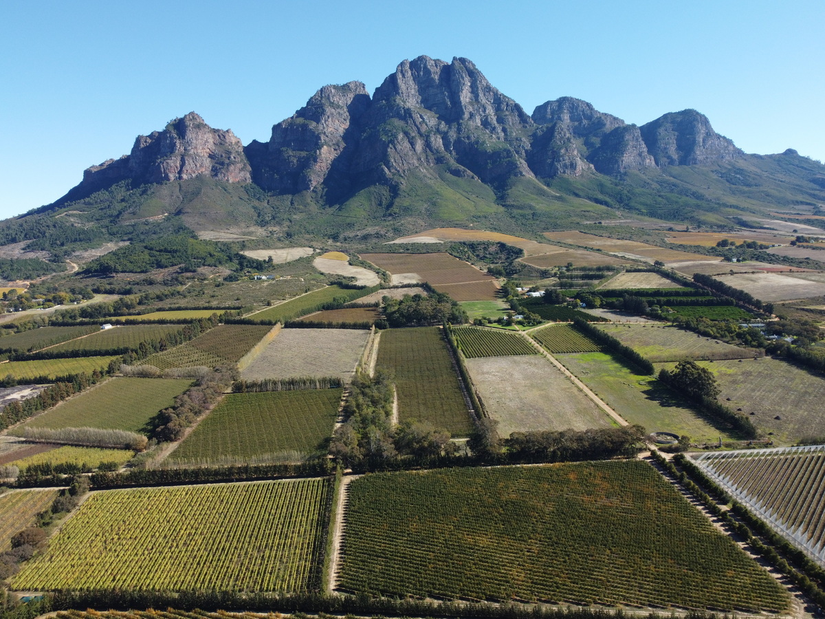 Região de vinícola mais bonito do mundo  na África do sul