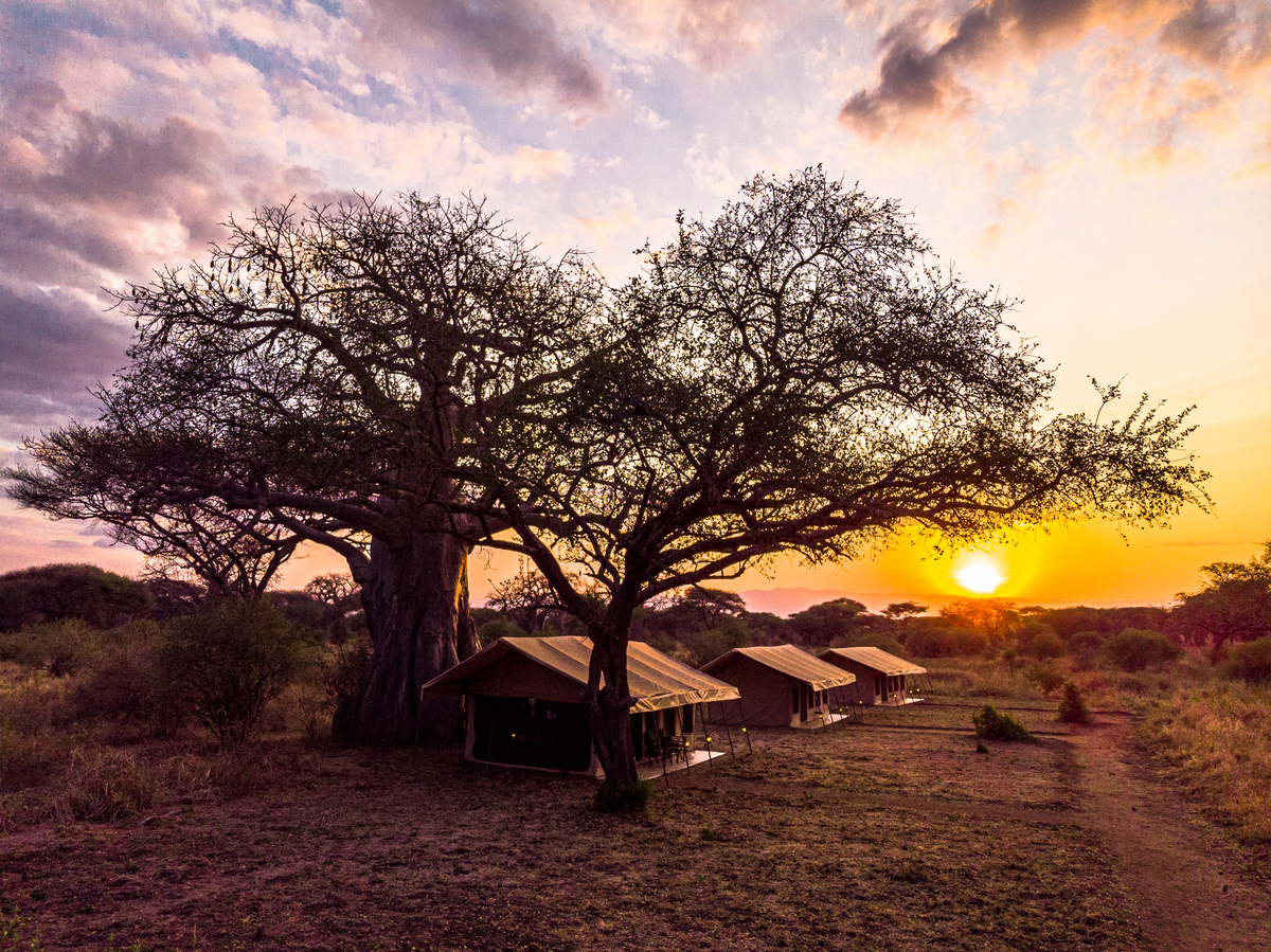 TARANGIRE BAOBAB TENTED CAMP AT SUNSET 
