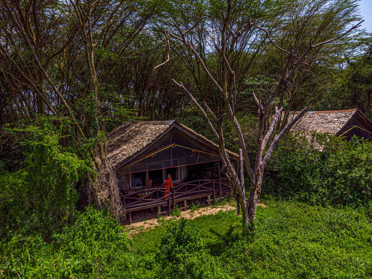 Amazing hotels in Kenya:  Tipilikwani Mara Camp 