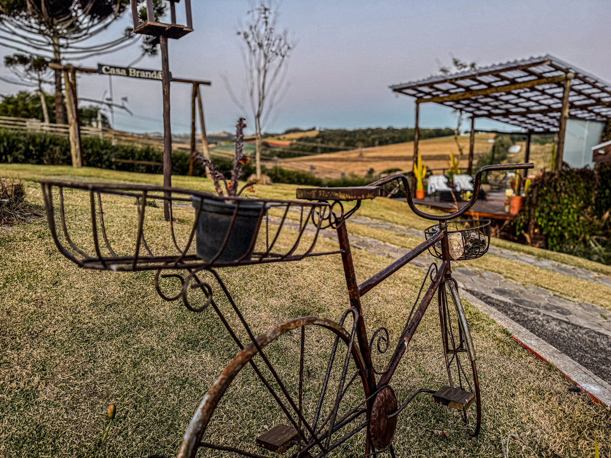 Arte moderna Bueno Brandão 
