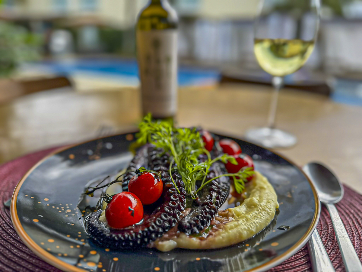 Melhor polvo de Paraty 