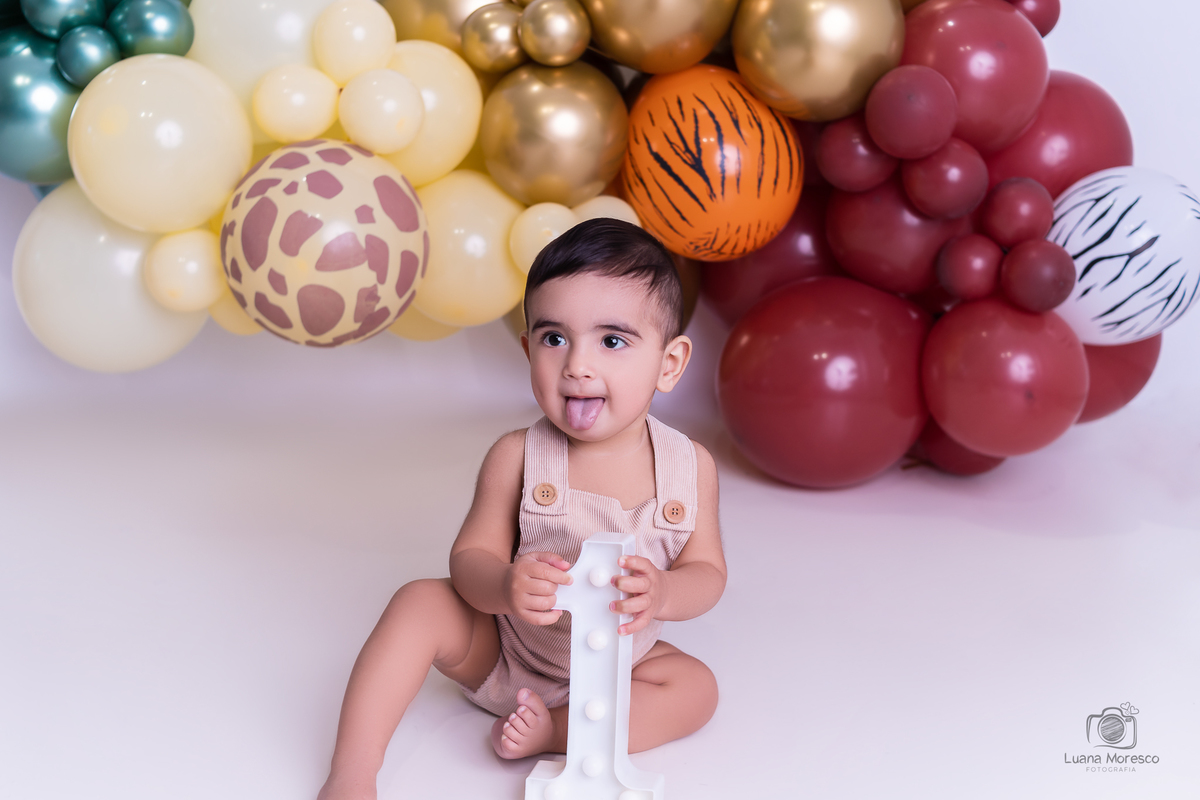 ijui, fotografia, Luana, Moresco, smash, the, cake, melhor, mais, menino, fotografia, estudio, familia, smash the cake, incrivel, ideia, perfeita, ensaio, bolo, 1 aninho, cores, arco balão, tema, aniversario, personalizado, pao de mel, santo ang, Cruz alt