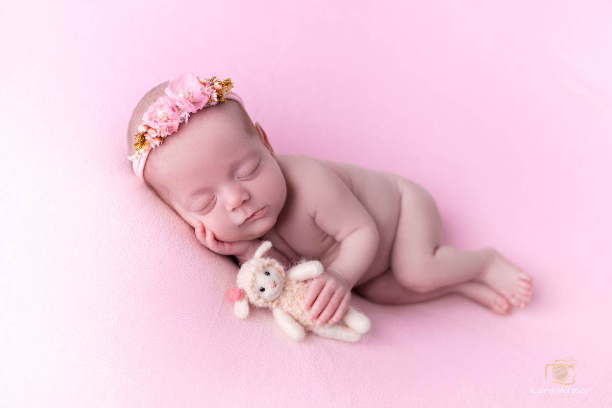 newborn, ijuí, fotografia, recem-nascido, bebê, foto, nenê, Luana, Moresco, menina, estudio, familia, santo angelo, obstetra, unimed, santa maria, cruz alta, ijui, primeiros dias, posicionamento, pose, mentoria, fotografia, foto, ideia, ibirubá, panambi