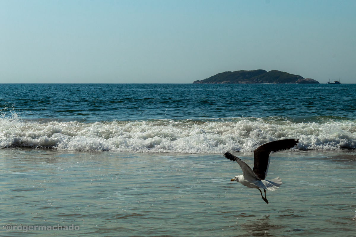 Praia dos Ingleses / Florianópolis