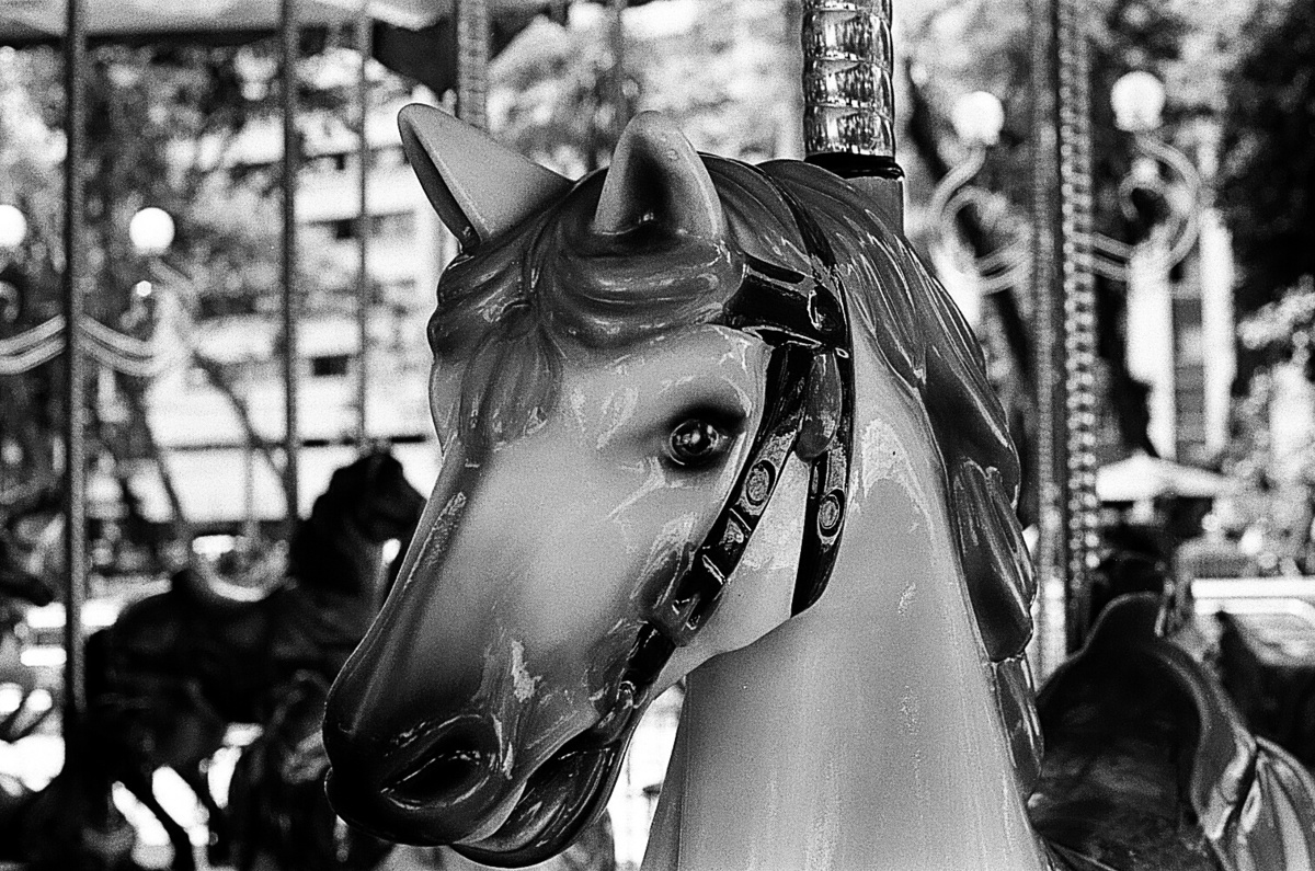 Passeio Público / Curitiba