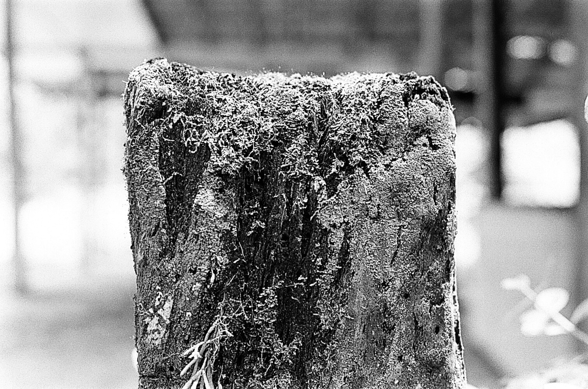 Ilha do Mel / Paraná