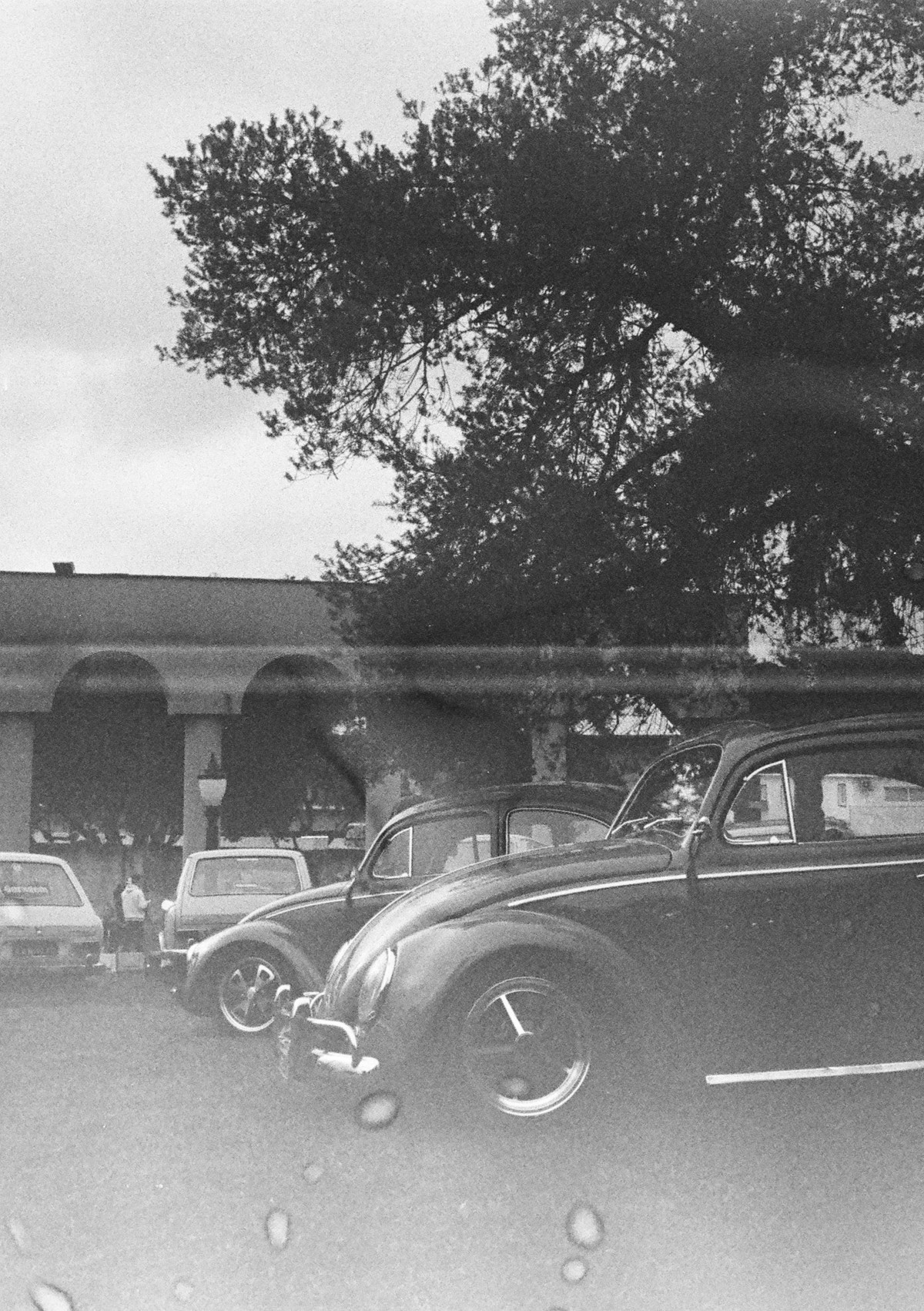 Bosque São Cristóvão / Curitiba