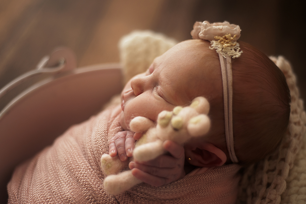 Bebê newborn no baldinho segurando o ursinho feltrado rosa