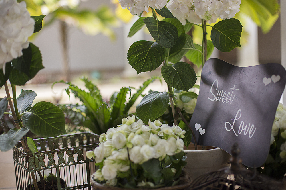 @estudioalexandrecasttro