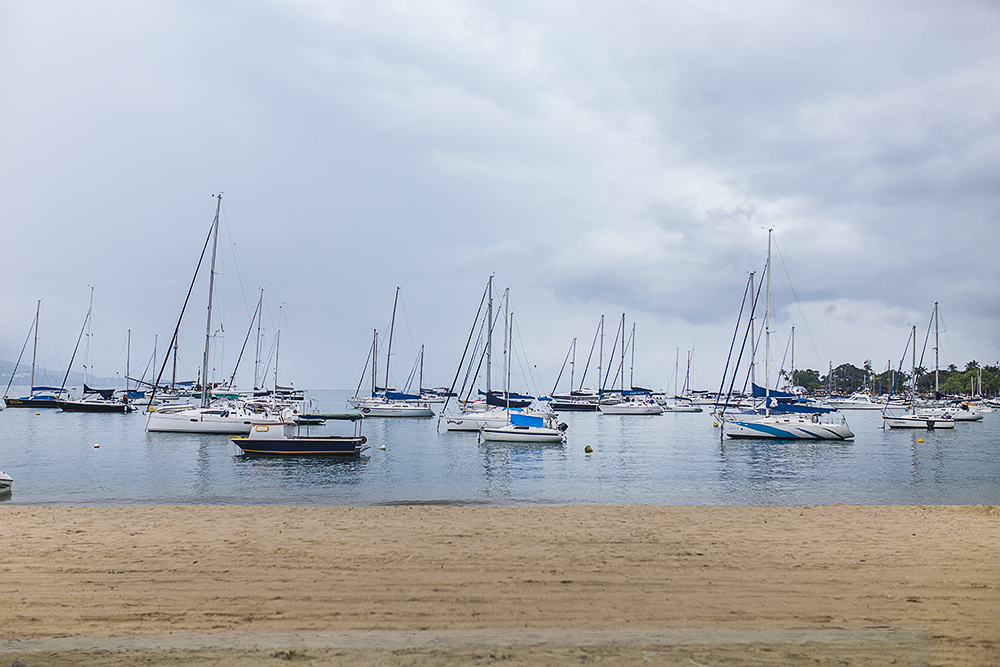 @estudioalexandrecasttro