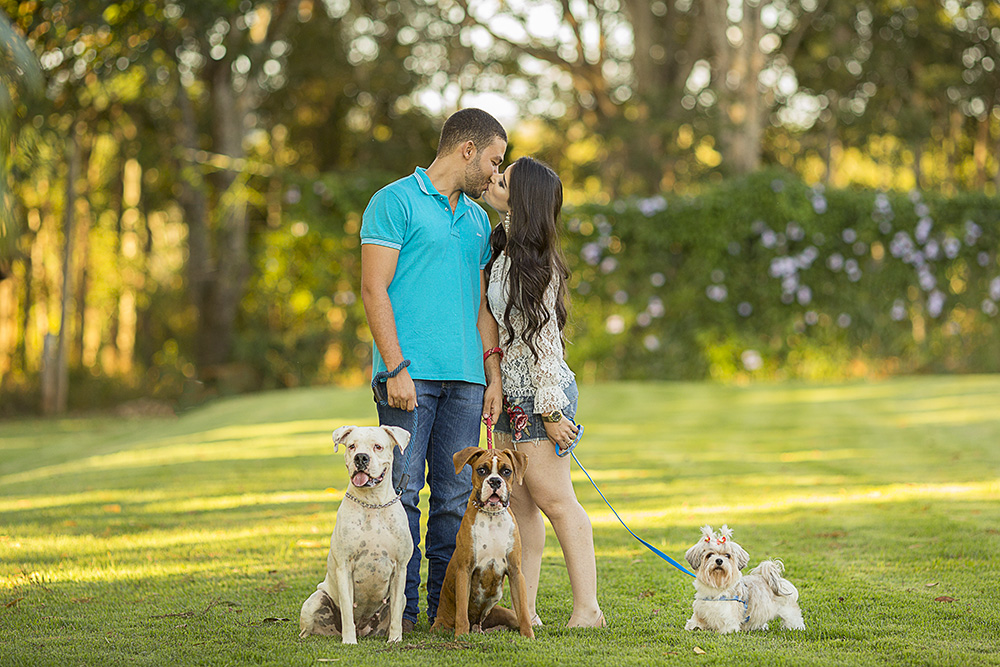 @estudioalexandrecasttro