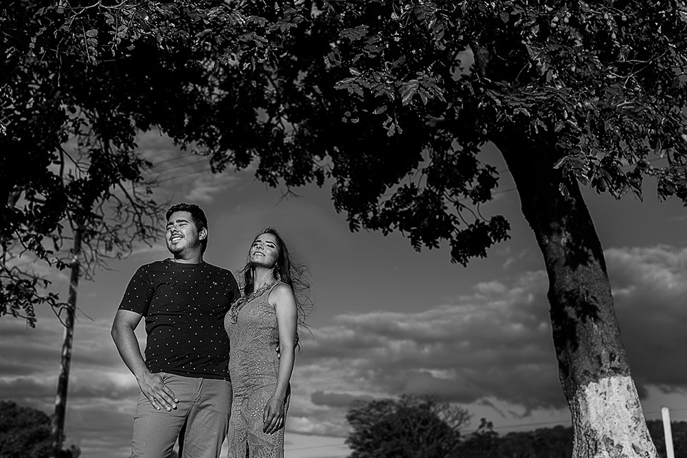 ensaio de casal romantico fotos namorando muito amor arvore