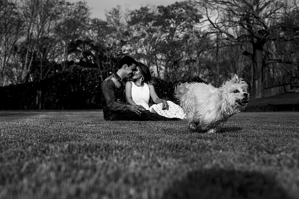ensaio de noivos para casamento em patos de minas fotografias no campo com cachorrinho