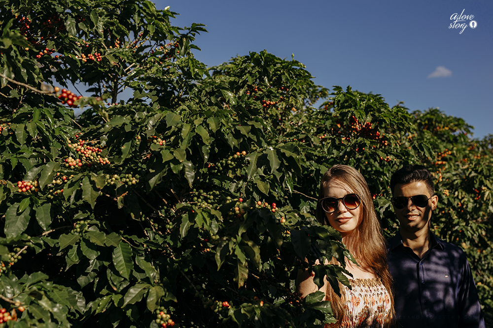 ensaio de casal  namorando fotos para o casamento em patos de minas fotografo alexandre casttro 