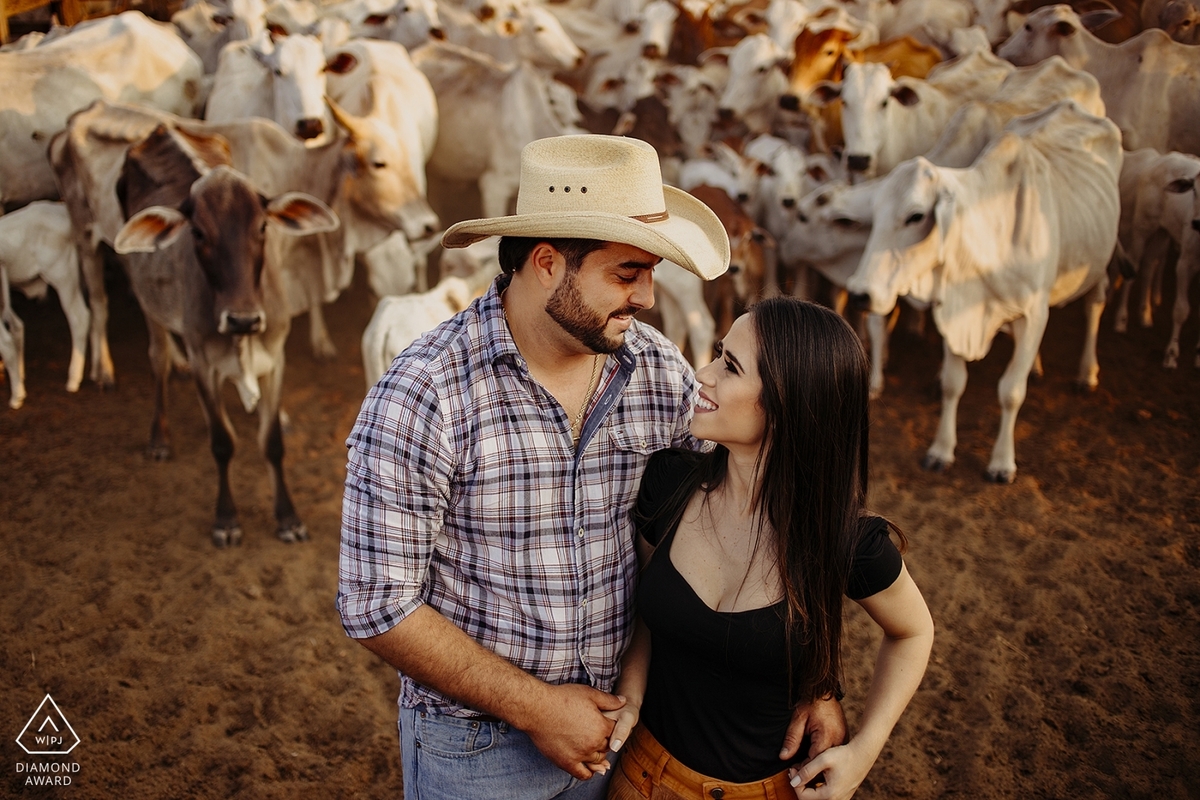 fotografia premiadas pela wpja fearless bride association fineart patos de minas alexandre casttro dicas de noivas inspiração vestidos blogueiras