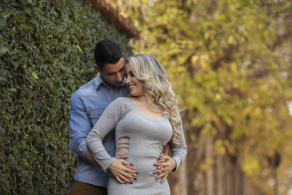 @estudioalexandrecasttro