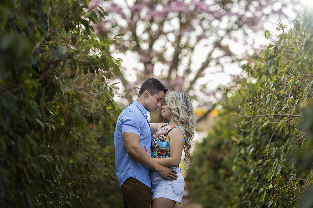 @estudioalexandrecasttro