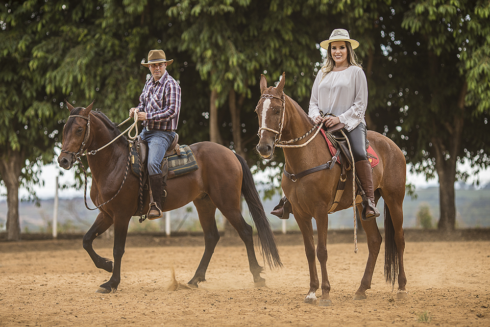 @estudioalexandrecasttro