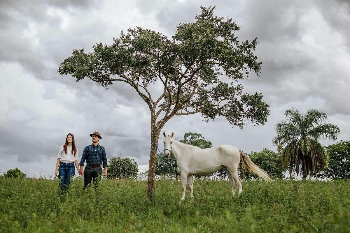 FOTOS ENSAIO PRE WEDDING CASAMENTO FAZENDA CAVALO CAMPO AMOR PRATINHA MG PATOS DE MINAS FOTOGRAFO ALEXANDRE CASTTRO FOTOGRAFIA