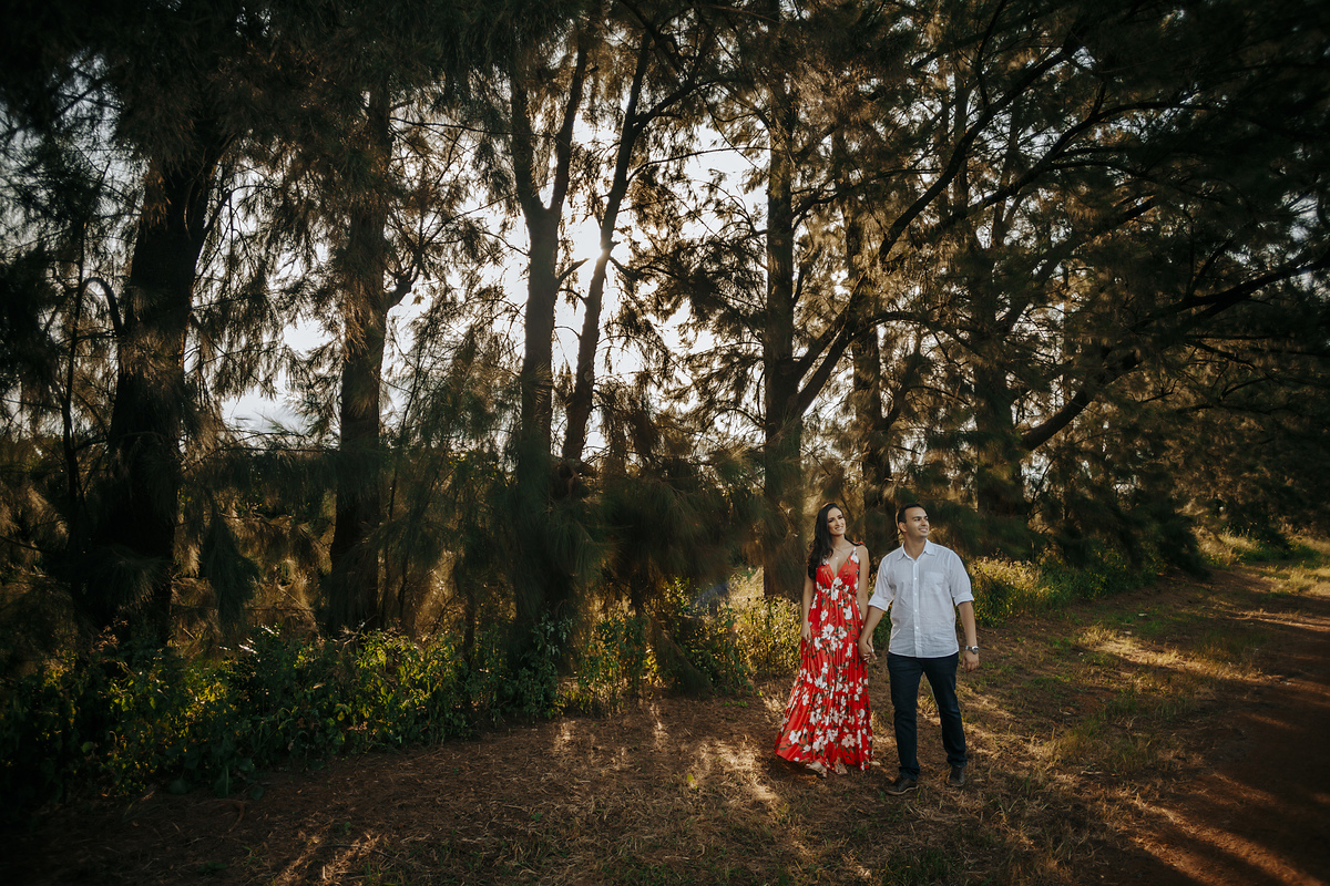 Fotografia Alexandre casttro Minas gerais noivas 2022 orçamentos via whatsapp chacara avalon 
