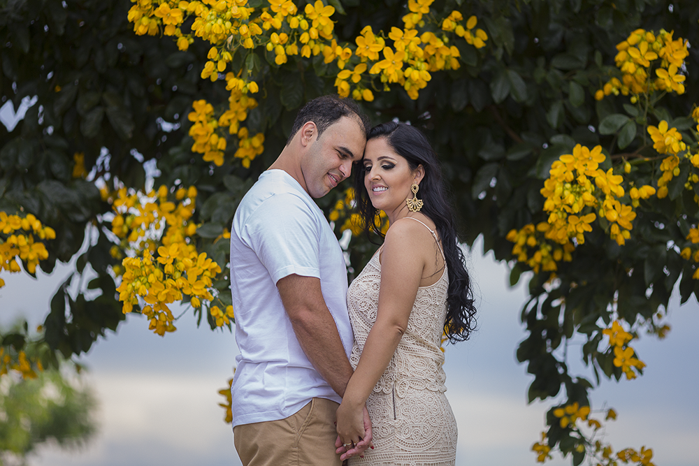 @estudioalexandrecasttro