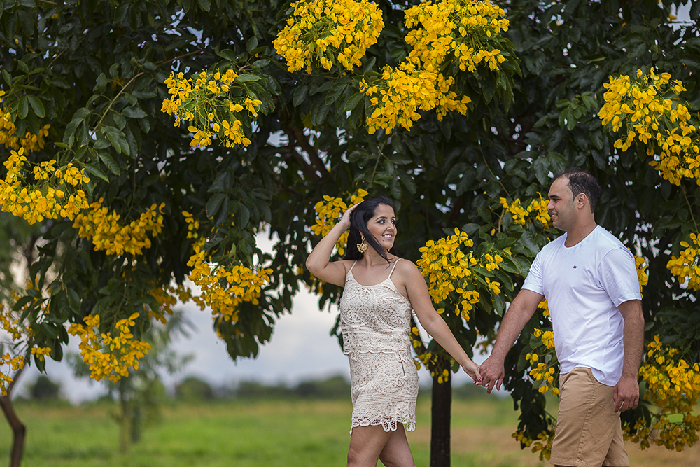 @estudioalexandrecasttro