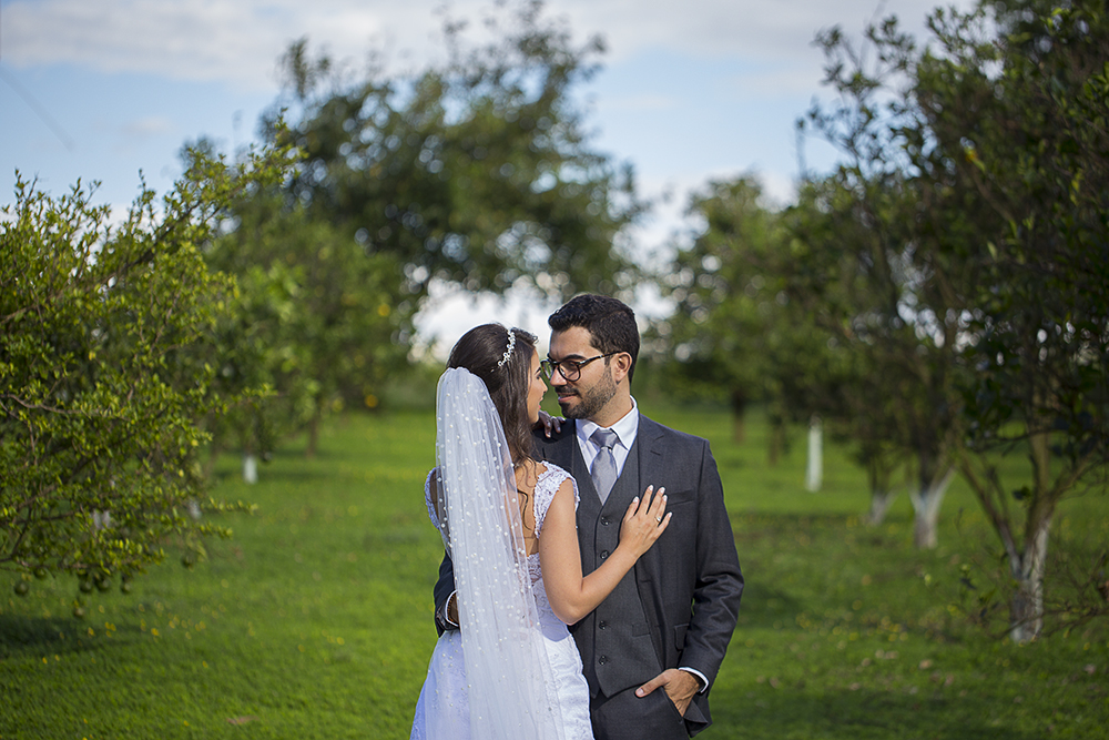 @estudioalexandrecasttro