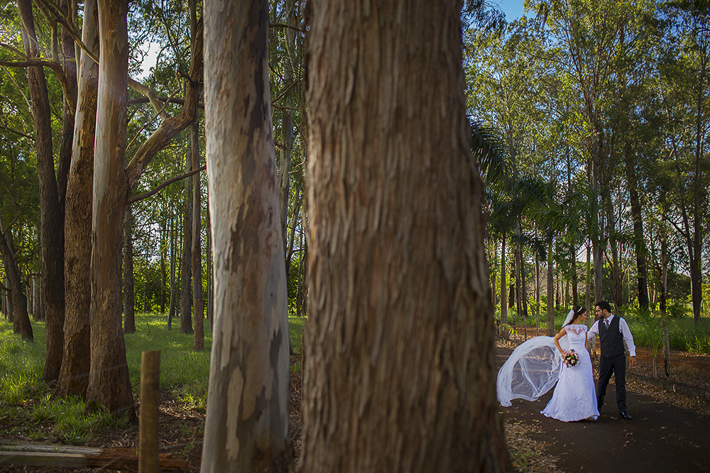 @estudioalexandrecasttro